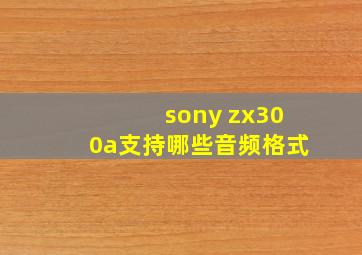 sony zx300a支持哪些音频格式